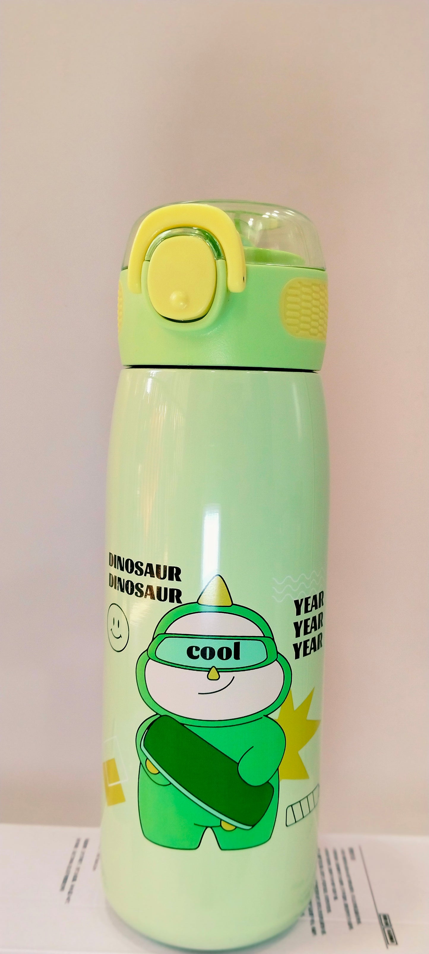 Fashion Steel Insulated Bottle ( 620 ml )