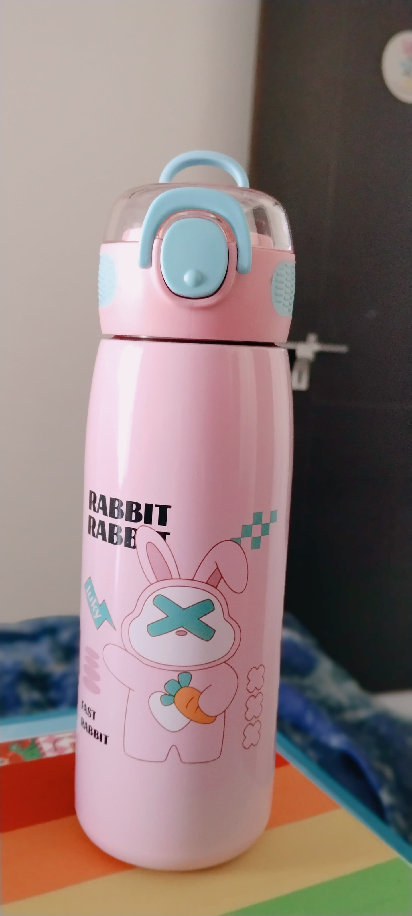 Fashion Steel Insulated Bottle ( 620 ml )